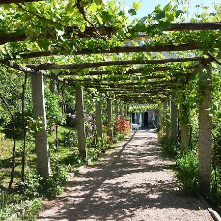 Hotel Villa Selva Lugano Ngoại thất bức ảnh